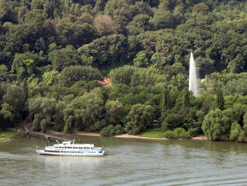 Ferienwohnung Weber-Rolinger Andernach Bagian luar foto